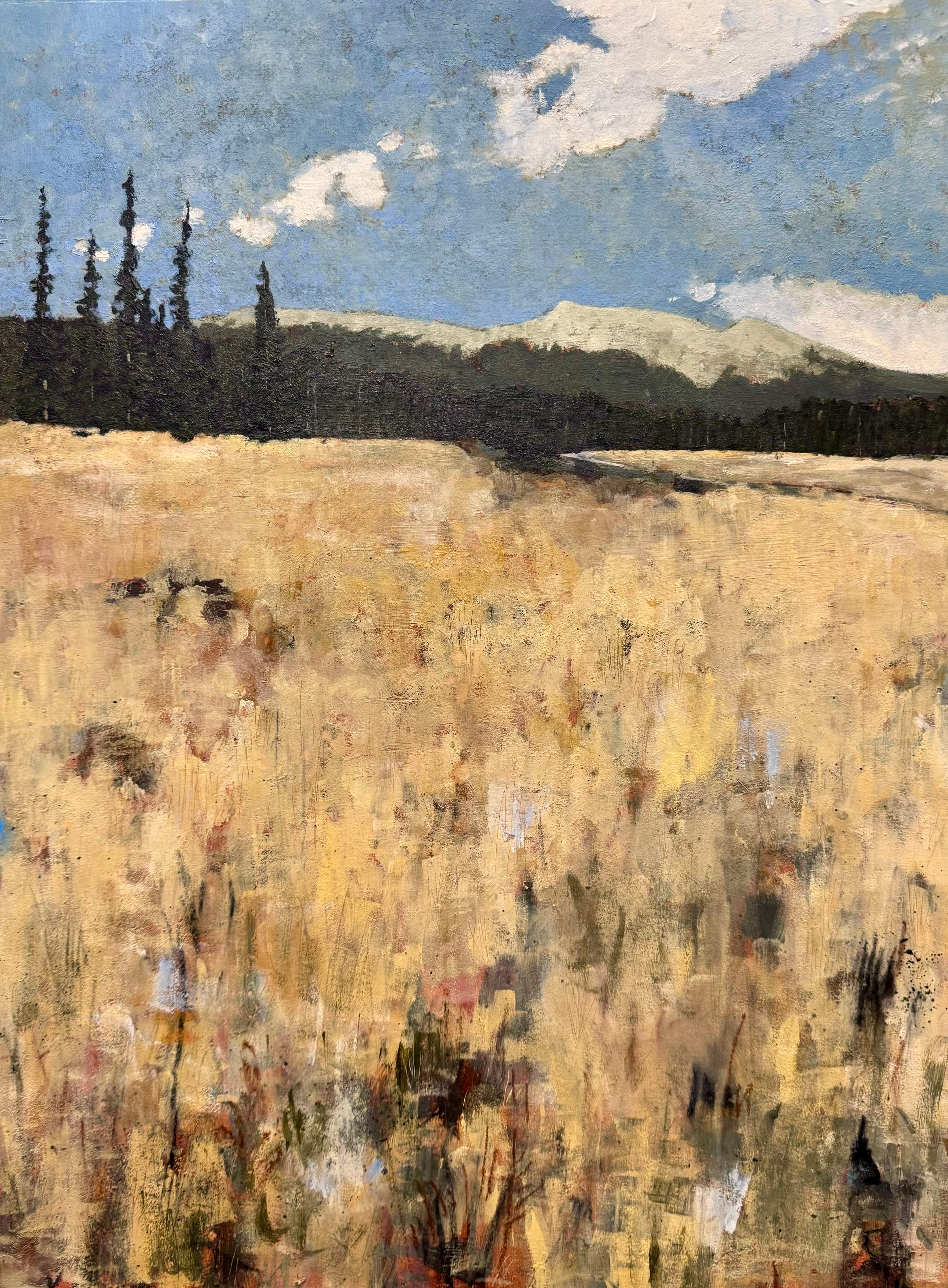 Homestake Meadow