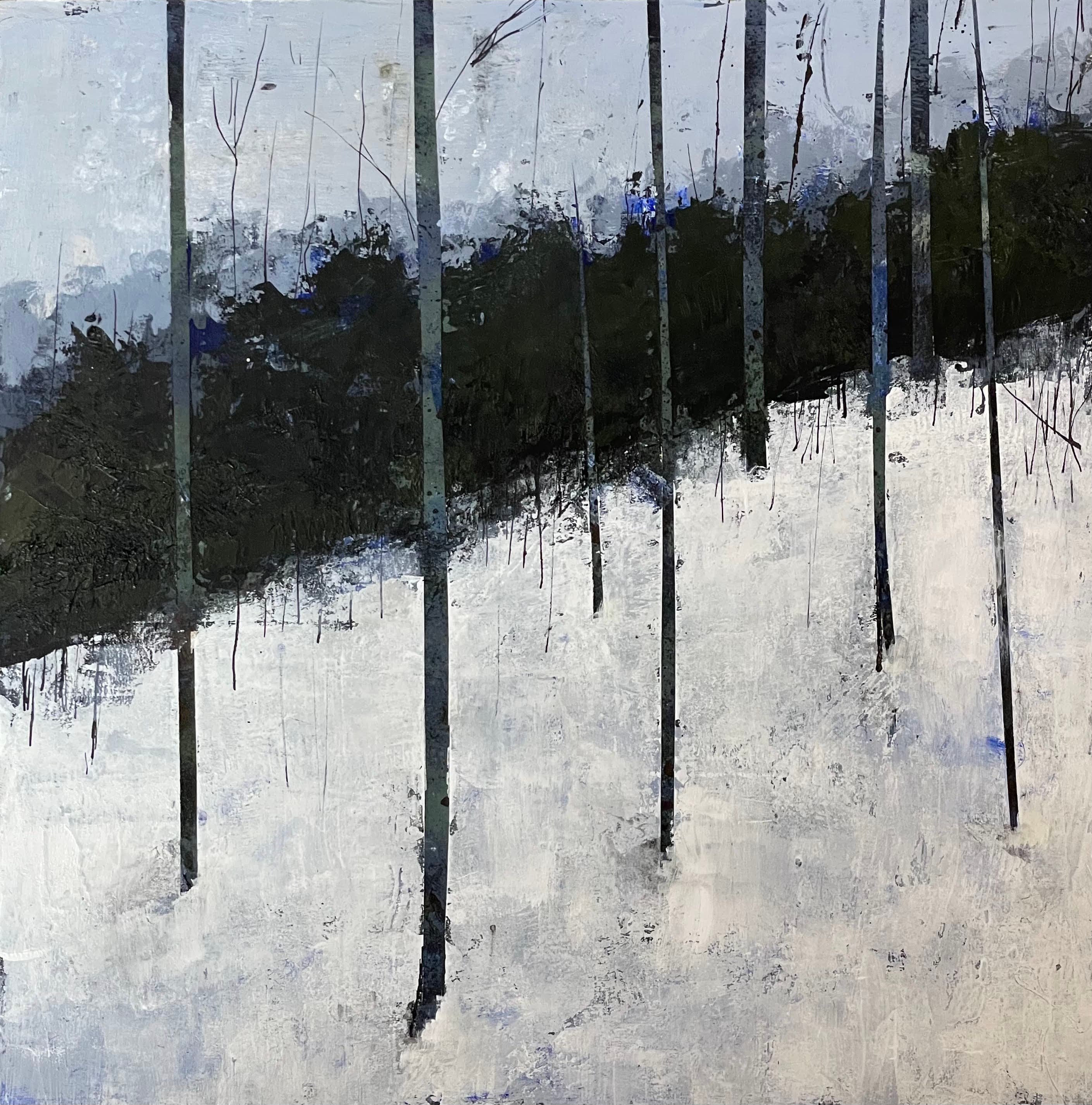 Edge of Quakies and Dark Timber