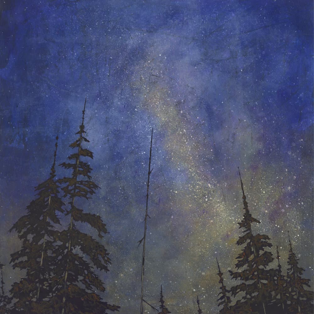 Wishing Upon the Stars