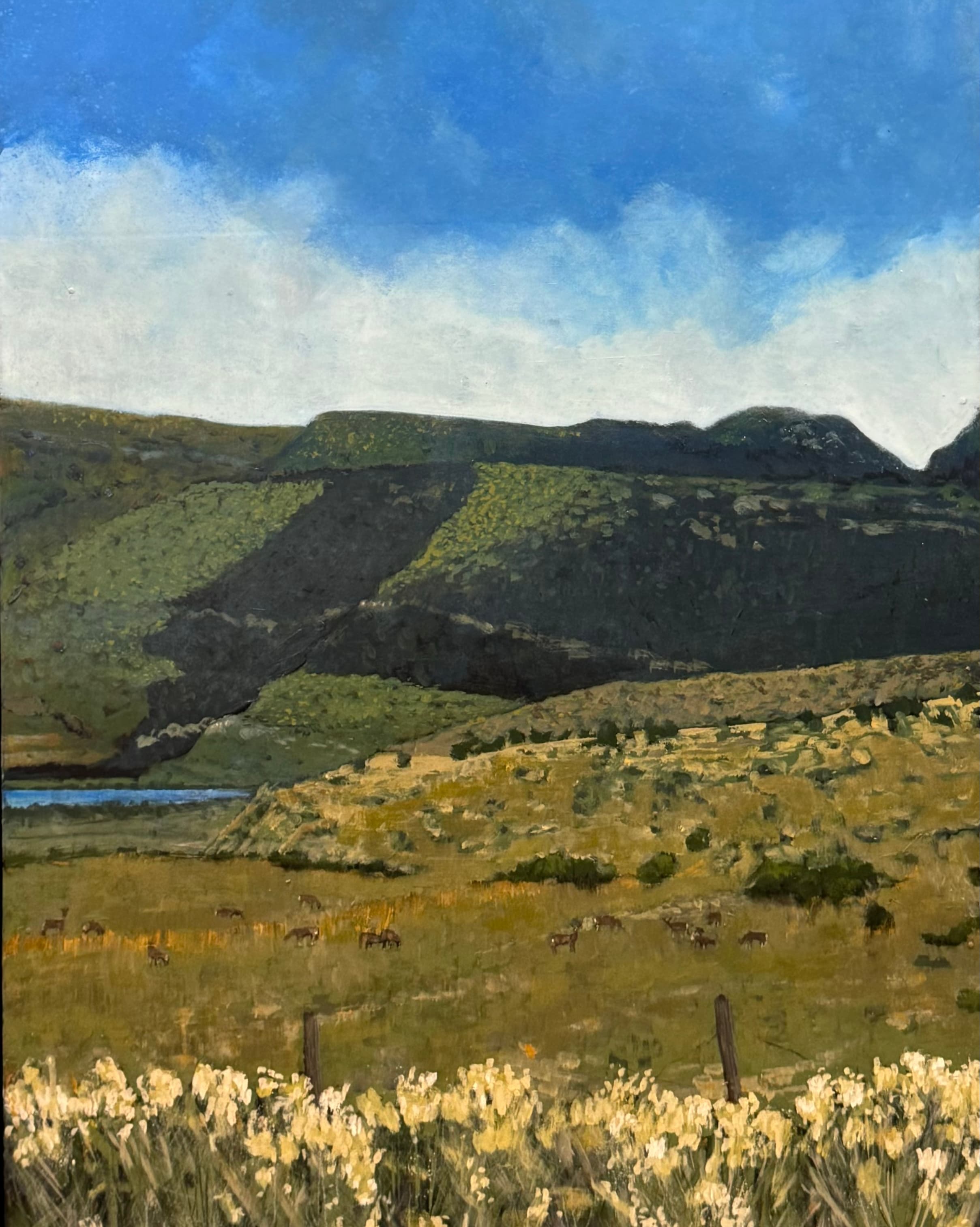 Green River Memories