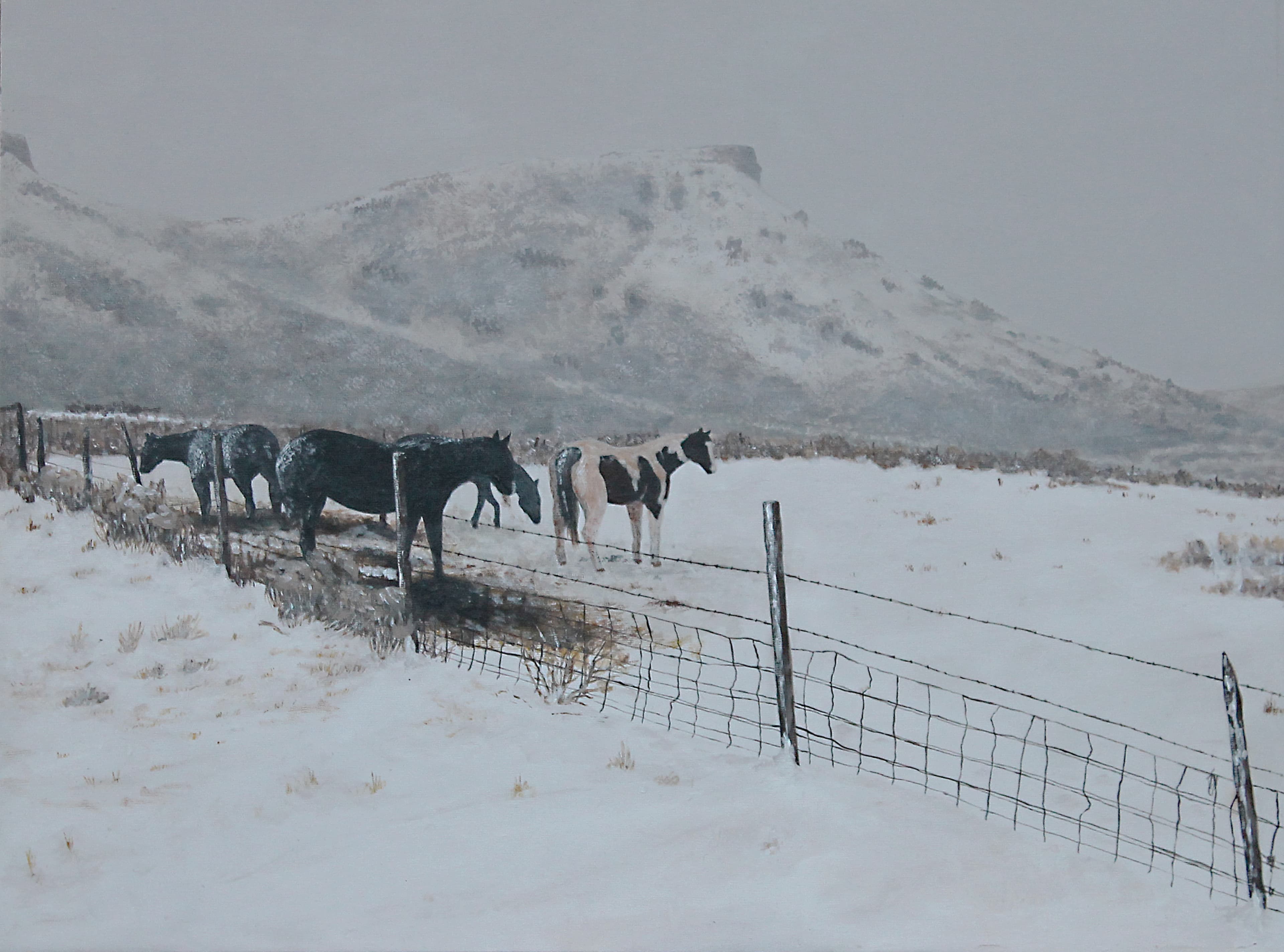 Cold Morning Outside the Bunkhouse